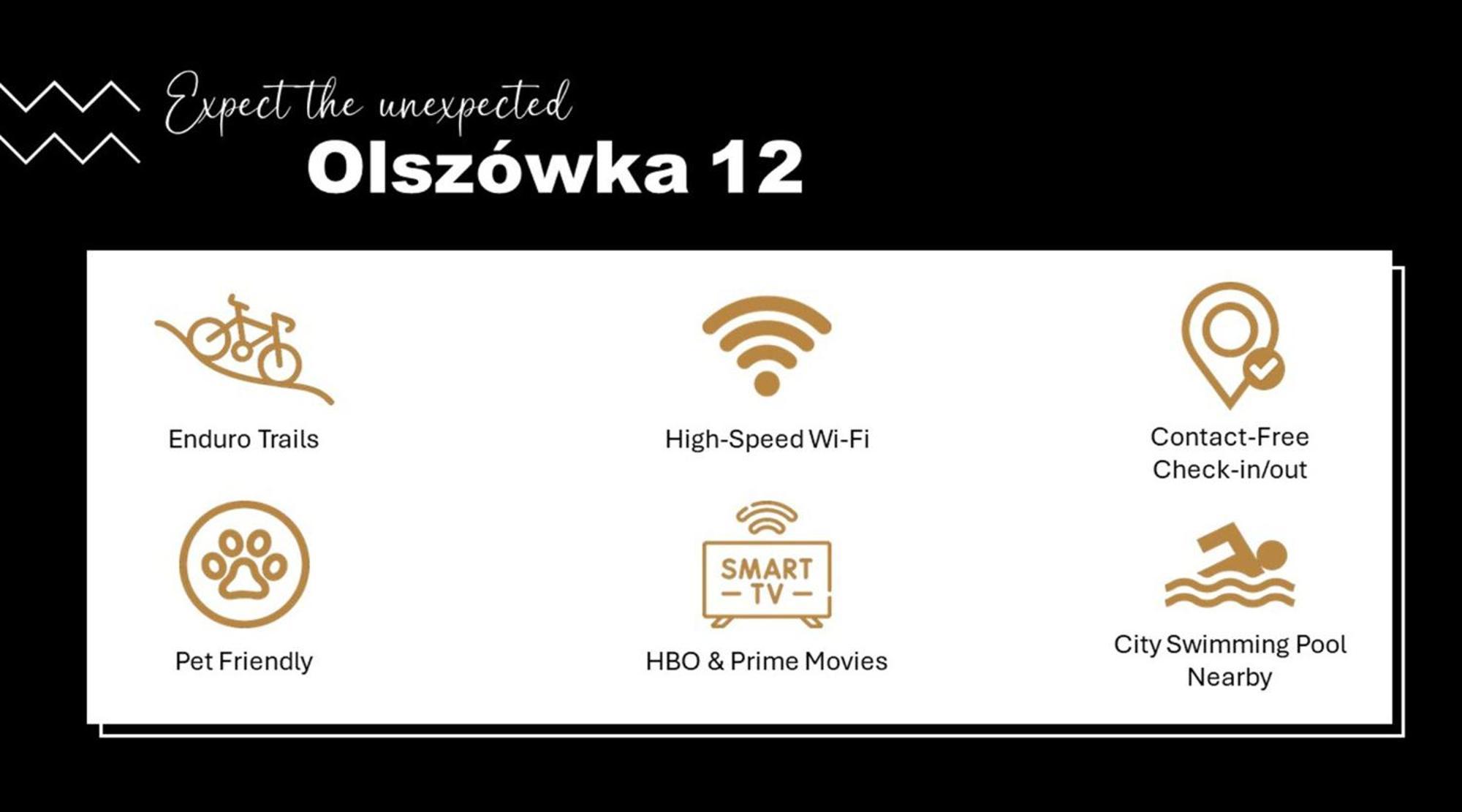 Olszowka 12 - Biala Bielsko-Biala